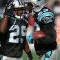 2010 NFL Carolina Panthers Photo Collection