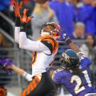 2010 NFL Cincinnati Bengals Photo Collection