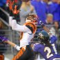 2010 NFL Cincinnati Bengals Photo Collection