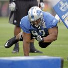 2010 NFL Detroit Lions Photo Collection