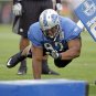 2010 NFL Detroit Lions Photo Collection
