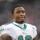 2010 NFL Miami Dolphins Photo Collection