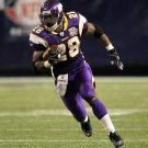 2010 NFL Minnesota Vikings Photo Collection