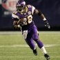 2010 NFL Minnesota Vikings Photo Collection
