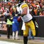 2010 NFL Pittsburgh Steelers Photo Collection