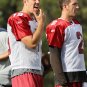2011 NFL Arizona Cardinals Photo Collection