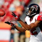 2011 NFL Atlanta Falcons Photo Collection