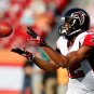 2011 NFL Atlanta Falcons Photo Collection