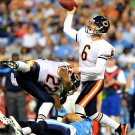 2011 NFL Chicago Bears Photo Collection