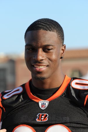 2011 NFL Cincinnati Bengals Photo Collection