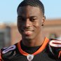 2011 NFL Cincinnati Bengals Photo Collection