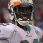 2011 NFL Miami Dolphins Photo Collection
