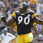 2011 NFL Pittsburgh Steelers Photo Collection