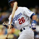 2007 MLB Los Angeles Dodgers Photo Collection
