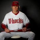 2008 MLB Arizona Diamondbacks Photo Collection