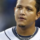 2008 MLB Detroit Tigers Photo Collection