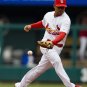 2008 MLB St. Louis Cardinals Photo Collection