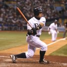 2008 MLB Tampa Bay Devil Rays Photo Collection