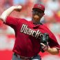 2010 MLB Arizona Diamondbacks Photo Collection
