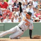 2010 MLB Baltimore Orioles Photo Collection