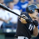 2010 MLB Chicago White Sox Photo Collection