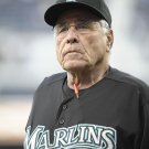 2011 (Q3) MLB Florida Marlins Photo Collection
