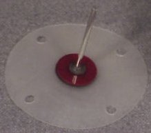 Spare Diaphragm for the MM Coffee Cup Stirling Engine Model--American Stirling Company