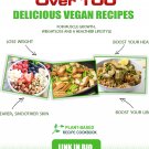 100 Delicious Vegan Recipes ebook