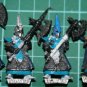 Warhammer Fantasy: Dark Elf Warriors x4