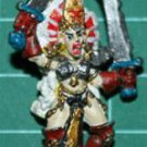 Warhammer Fantasy: Dark Witch Elf