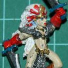 Warhammer Fantasy: Dark Witch Elf
