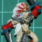Warhammer Fantasy: Dark Witch Elf