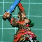 Warhammer Fantasy: Dark Elf Captain