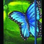 Blue Butterfly