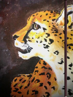 Cheetah