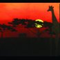African Sunrise