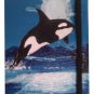 Orca