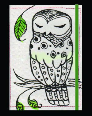 Sleepy Owl