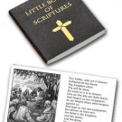 Little Book of Scriptures - Package of 5