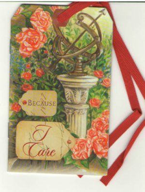 Unique Greeting Card w/ string, magnet & custom envelope "Because I Care"