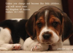 Postcards - 5"x7" - Beagle Puppy - Packof10