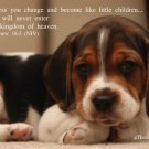 Postcards - 5"x7" - Beagle Puppy - Packof 50