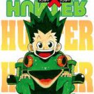 hunter x hunter manga