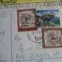 12 WW CARD WILDLIFE STAMP ON COVER ANIMALS LOT