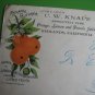 2 OLD US COVER TO TRIEBES GERMANY ILLUSTR FRUITS AD LOT