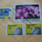 URUGUAY COVER BRIEFE FLOWER BIRD FLOWERS