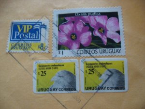URUGUAY COVER BRIEFE FLOWER BIRD FLOWERS