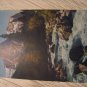 4 SWITZERLAND vintage CARD
