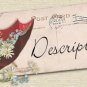 CZECHOSLOVAKIA BOHMEN MORAVIA TEPLITZ POSTCARD AK VINTAGE TEPLICE WITH STAMP