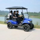 Wholesale Bosmototechtron New custom Golf Cart, 4 seater